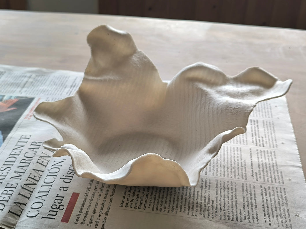 Tissue I